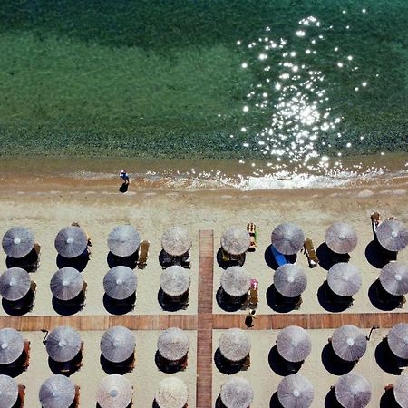 Beach Front Villa Nea Kallikrateia エクステリア 写真